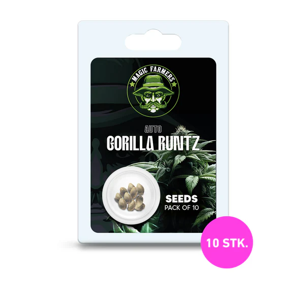 Cannabis Gorilla Runtz Auto 10 Stk